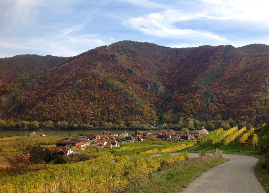Weingut Langmayer Wosendorf in der Wachau Exterior photo