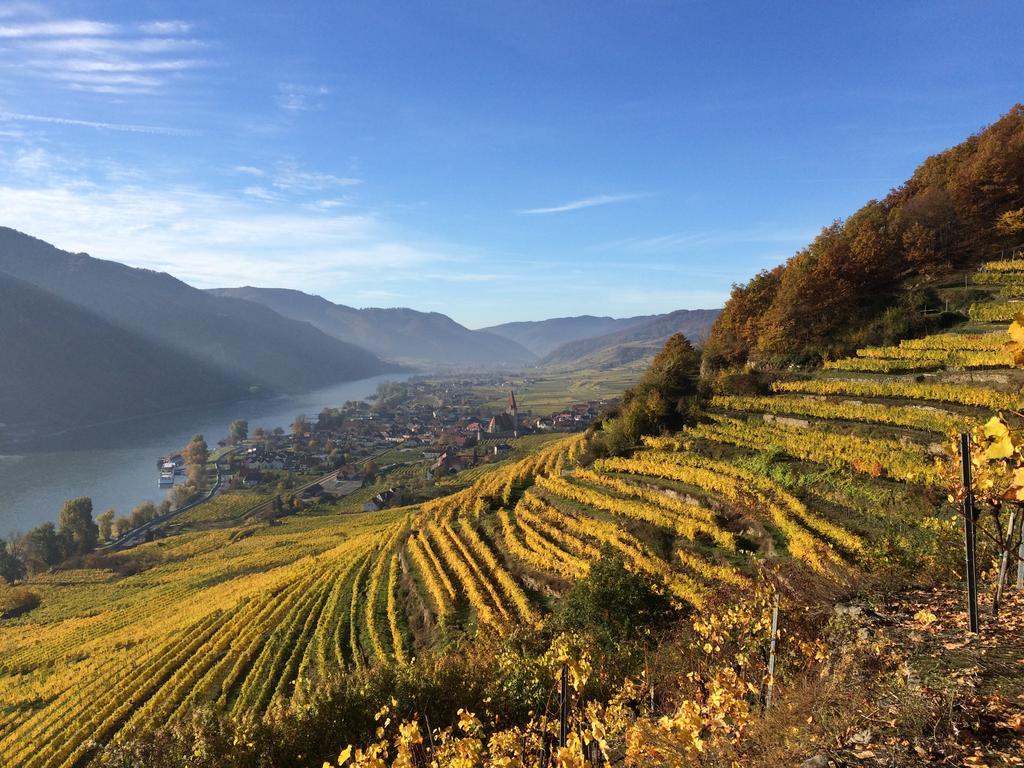 Weingut Langmayer Wosendorf in der Wachau Exterior photo